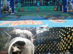 -太平洋海底世界