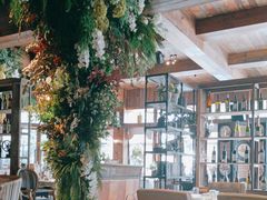 -一棵树·意大利西餐厅One Tree(新城店)