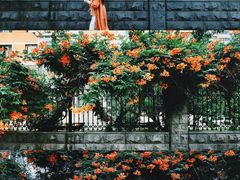 -东北大学(南湖校区)