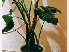 -常乐·对症推拿(来福士第43分店)