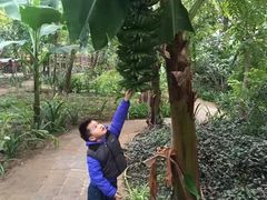 -呀路古热带植物园