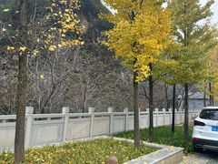 -秦岭终南山世界地质公园翠华山景区