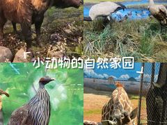 -昆明动物博物馆