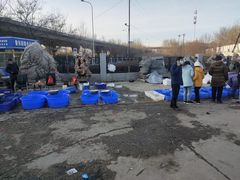 -中环花鸟鱼虫市场