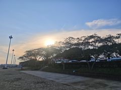 -碧海金沙