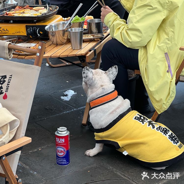 成都露营风烤肉 野招呼