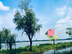 -渤公岛生态公园