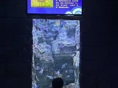 -左海海底世界