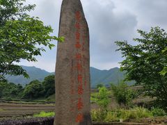 -龙坞茶村