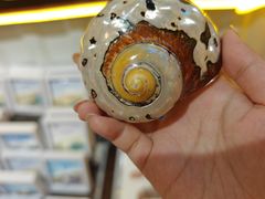 -大学城夜市