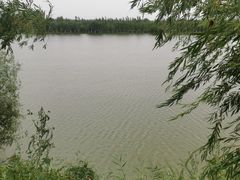 -伊犁河风景区