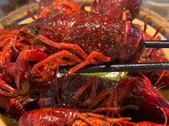 -怪怪龙虾·澳洲蓝龙王·深夜食堂(惊驾路店)