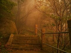 -崂山巨峰游览区
