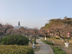 -白马涧龙池景区
