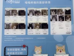 -纳吉亚猫专科动物诊疗中心(蒋宅口分院)