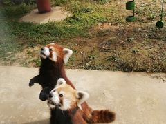 -杭州野生动物世界