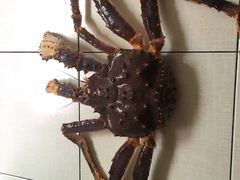 -盒马鲜生(莱蒙都会店)