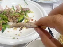 -姚林轩