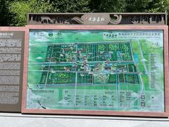 -黄海国家森林公园