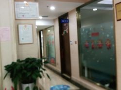 -碧莲盛·不剃发植发