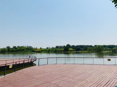 -东郊湿地公园