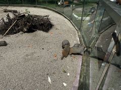 -哈尔滨北方森林动物园