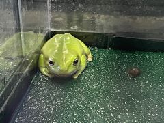 -三旗百汇商品城