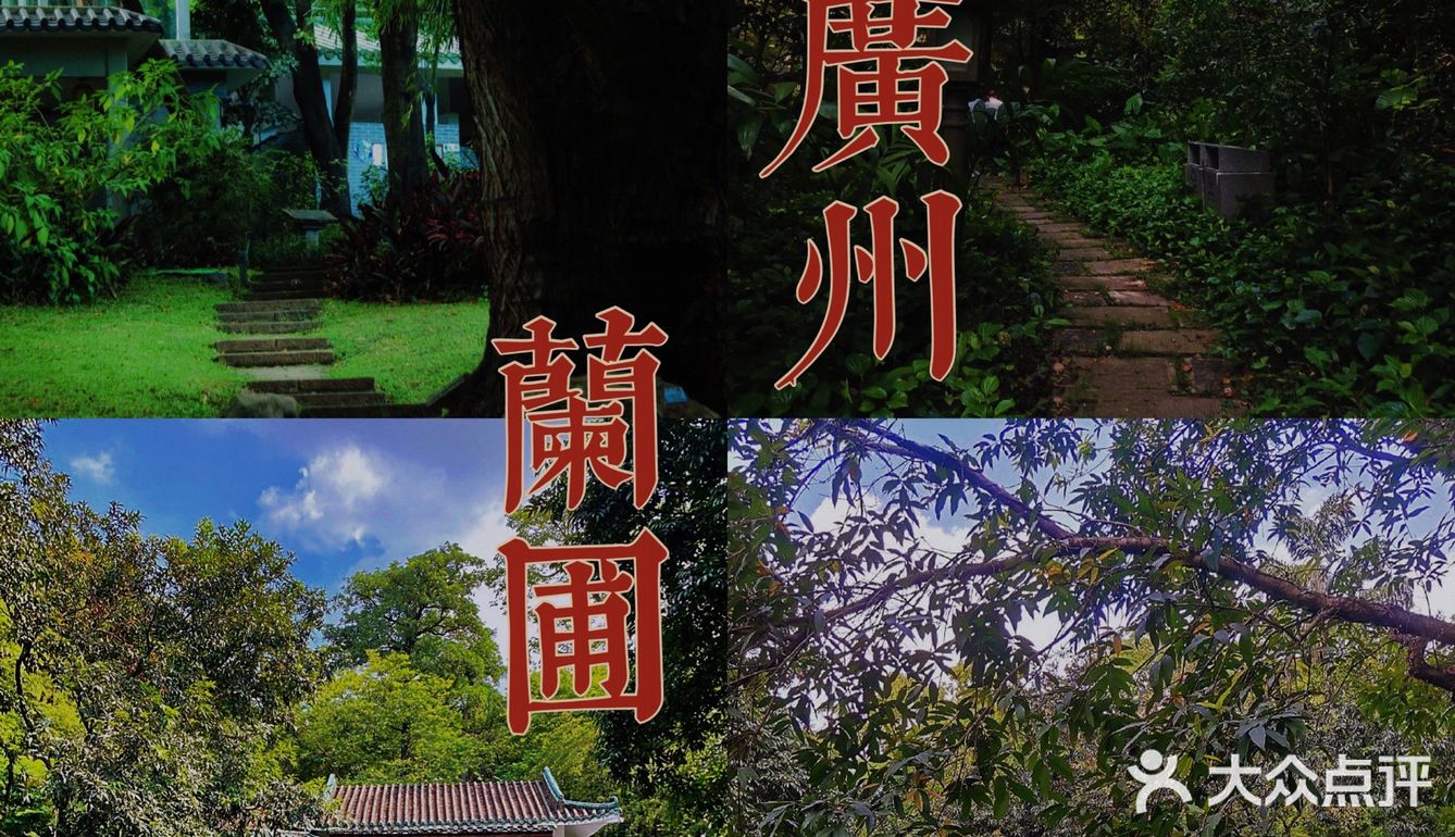 广州周末游|体验空谷幽兰～兰圃