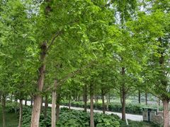 -石家庄市植物园