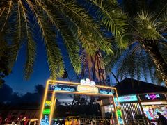 -三亚海昌梦幻海洋不夜城