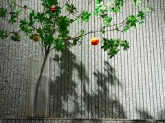 -古乡居甜品(大信店)