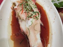 -上海松江假日酒店