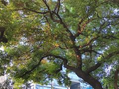-分子跳动鲜活面包(五一大道店)