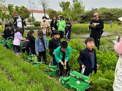 -Angel Garden天使花园幼儿园
