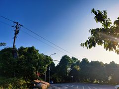 -铁山坪森林公园