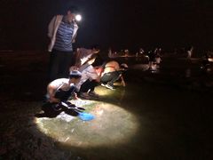 -日照灯塔风景区