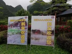 -靖西鹅泉风景区