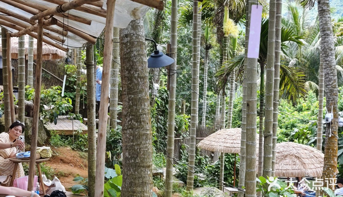 森林中的休闲时光