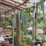 森林中的休闲时光