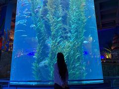 -福州欧乐堡水上乐园