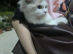 -泉州海丝野生动物世界