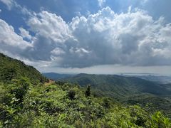 -田心森林公园