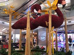 -凯德广场(学府店)