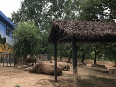 -西安秦岭野生动物园