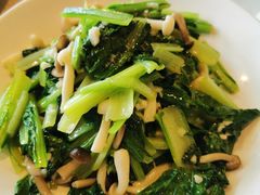 山蘑小白菜-斯琴阿妈蒙古餐厅(新城店)