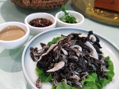 -大鸭梨烤鸭(左家庄店)