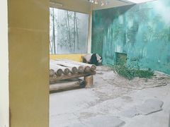 -杭州野生动物世界