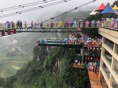 -梦幻奥陶纪景区