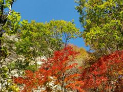 -嘉华国际旅行社有限公司