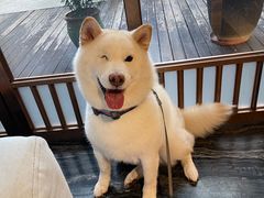 -时光乌托邦空中花园餐厅川味·融合菜(幸福广场店)